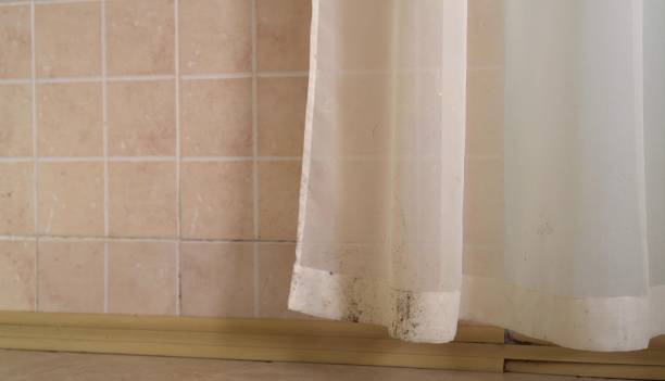 Best Dehumidification Services  in Phillipsburg, NJ