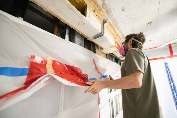 Best Crawl Space Mold Remediation  in Phillipsburg, NJ