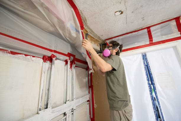 Best Mold Remediation for Healthcare Facilities  in Phillipsburg, NJ
