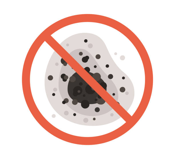 Best Commercial Mold Inspection  in Phillipsburg, NJ