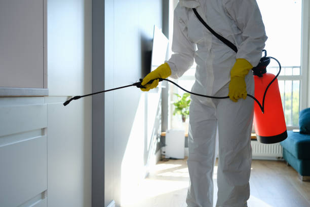 Best Mold Removal for HVAC Installations  in Phillipsburg, NJ