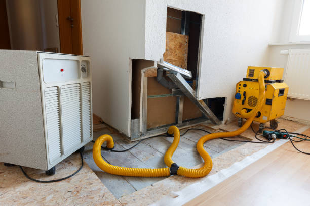 Best Biohazard Mold Removal  in Phillipsburg, NJ