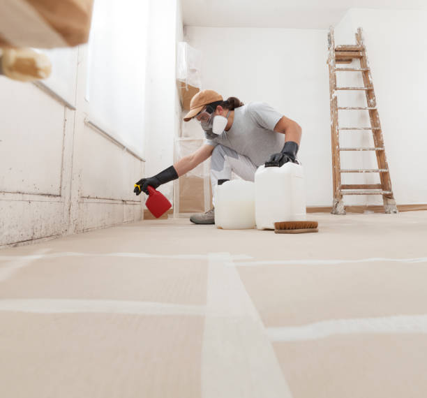 Best Forensic Mold Investigation  in Phillipsburg, NJ